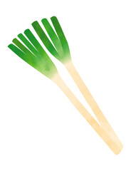 手書き風長葱（ねぎ/野菜）