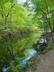 Fototapeta premium Winding river 