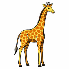 giraffe vector illustration