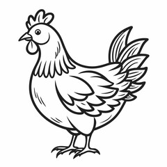 hen and rooster
