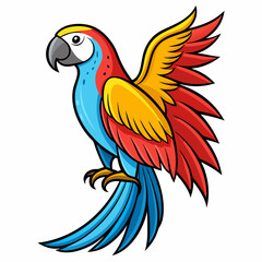 blue and yellow macaw