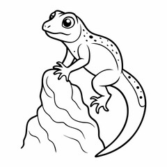 frog on a white background