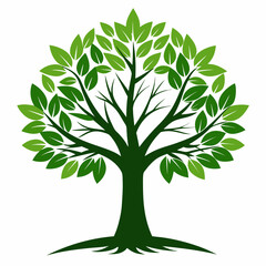 Obraz premium green tree vector