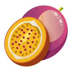 vector illustration of an apple