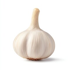Fresh Whole Garlic Bulb on White Background for Culinary Use