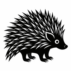 hedgehog