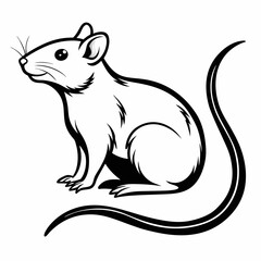vector image of a squirrel