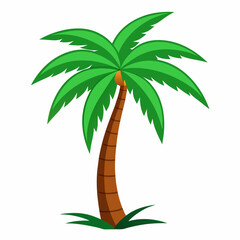 palm tree vector illustration