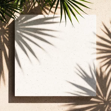 Tropical Palm Shadow on Minimal Stone Platform