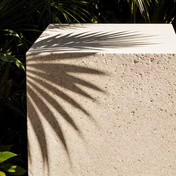 Warm Light on Textured Podium with Leaf Pattern