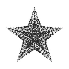 Obraz premium black and white star