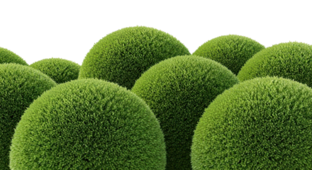 Green topiary plants forming a small garden isolated PNG with Transparent Background