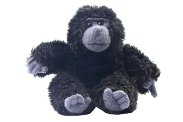 Monkey on a white background isolated,