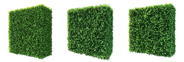 Set of various Green square topiary hedge wall isolated on transparent background