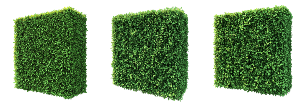 Set of various Green square topiary hedge wall isolated on transparent background