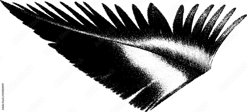 Poster high contrast black and white peacock feather fragment design for artistic projects