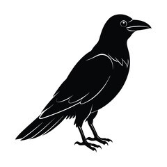 Crow silhouette vector art illustration