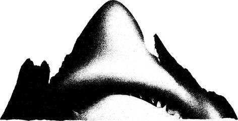 High contrast black and white shark fin abstract art for modern design
