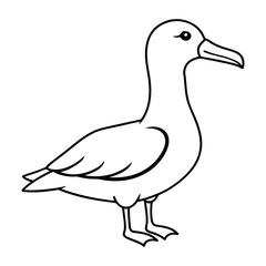 Albatross Silhouette Vector Art - Flying Bird Outline Design. Minimalist Albatross Vector Illustration Bird Silhouette Clipart.