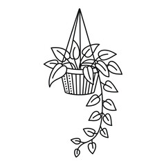 Hanging plant with leaves in a pot black and white line art