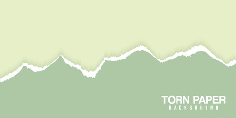 Vector Green Torn Paper Background