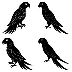 Fototapeta premium Silhouette illustration featuring four parrots in various poses on a white background design