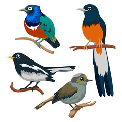 Close-up of bird perching animals on white background PNG