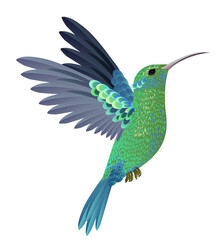 Close-up of bird perching animals on white background PNG