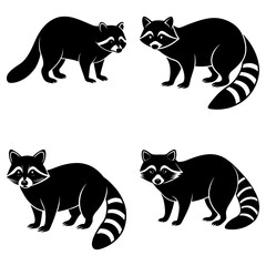 Fototapeta premium Four black and white raccoons standing in various poses on a white background illustration design element