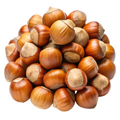 Hazelnuts Whole Without Shadow Clean  isolated on transparent background