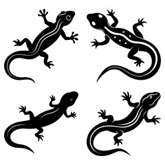 Four black silhouette lizards with unique patterns and curled tails on a white background design element