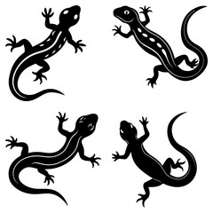 Obraz premium Four black silhouette lizards with curled tails and detailed markings on a white background design vector