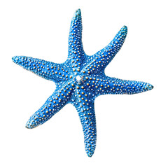 Blue starfish on colorful striped background abstract art ocean animal nature