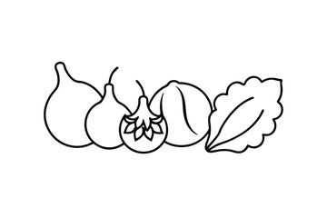 egetables and Fruits Line Art Vector Illustration – Minimal Organic Food Design