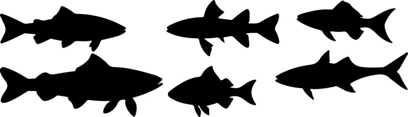 fish, silhouette, vector, art, marine, sea, ocean, aquatic, animal, black, white, design, illustration, simple, graphic, icon, flat, clipart, swimming, nature, wildlife, underwater, outline, isolated,