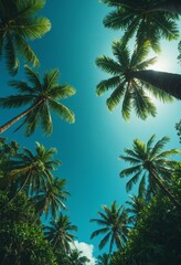 Fototapeta premium Upward View of Tropical Palm Trees with Sunbeam Against Clear Blue Sky