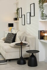 Comfortable sofa, black coffee tables and different decor indoors. Interior design