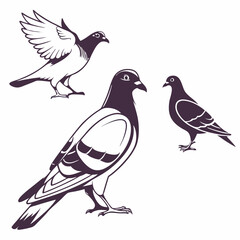 Obraz premium Pigeon Silhouette Vector Sheet - Accurate Limb Proportions Minimalist Bird Shapes