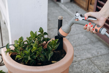 Hand holding a watering can, gently watering vibrant green plants in a terracotta pot, showcasing...