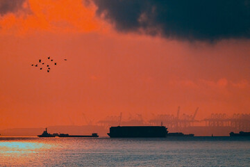 sunset over the sea
