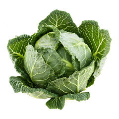 Obraz premium Fresh, organic green head of cabbage isolated on a white background, perfect for a healthy salad or vegetarian meal