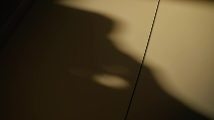 Shadow on office or apartment wall of a man speaking on the phone. Silhouette of busy businessman talking on a telephone call. Conspiracy or dirty business fraud deal. Suspicious angled view indoors