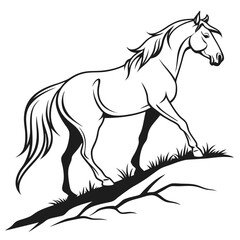 silhouette horse on white background 