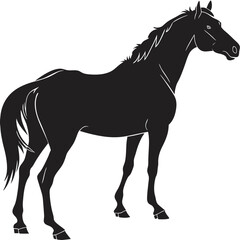 silhouette horse on white background 