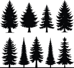Obraz premium Silhouette of Evergreen Trees Set on White Background,Pine fir tree tall tree isolated premium vector image, black and white tree silhouettes,coniferous trees, pine trees,fir trees silhouettes set,Ai