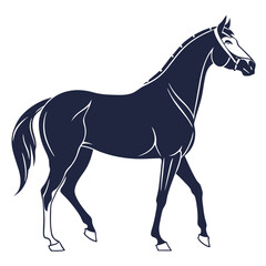 silhouette horse on white background 