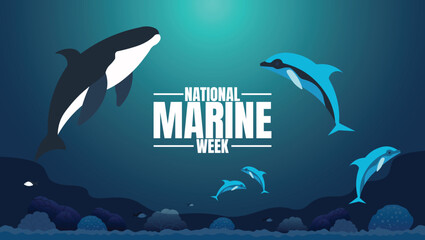 National Marine Week, Celebrating Our Oceans and Marine Life