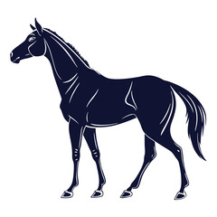 silhouette horse on white background 