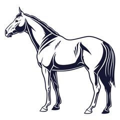 silhouette horse on white background 