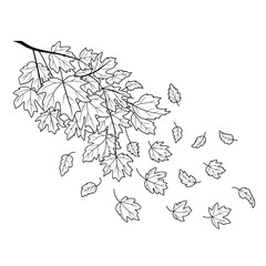 Fototapeta premium Black and white vector illustration of falling autumn leaves in motion with textured background